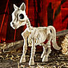 25" x 23" Standing Pony Plastic Skeleton Halloween Decoration Image 1