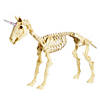 27" Unicorn Skeleton Plastic Halloween Decoration with Glowing Eyes Image 1