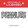 3 1/2" x 4" Peanuts&#174; Christmas Ornament Magnet Craft Kit - Makes 12 Image 4