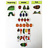 3" - 14" World of Eric Carle The Very Hungry Caterpillar&#8482; Storytelling Magnets - 14 Pc. Image 4