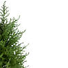 3' Artificial Cedar Pine Petite Arborvitae Tree in Round Pot  Unlit Image 4
