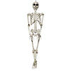 3 Ft. Hanging Skeleton Plastic Halloween Decoration Image 1