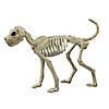 3 Ft. x 21" Buster Bonez Dog Skeleton Platic Halloween Decoration Image 1