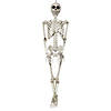 3' Hanging Skeleton Halloween Decoration Image 1
