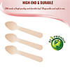 3" Natural Birch Eco-Friendly Disposable Mini Dessert Spoons (275 Spoons) Image 2