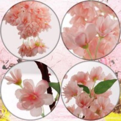 3-Pack: Soft Pink Cherry Blossom Stem Image 1