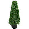 3' Pre-Lit Artificial Boxwood Cone Topiary Tree with Round Pot  Clear Lights Image 1