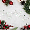 35-Count Green Mini Christmas Light Set  7ft White Wire Image 1