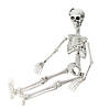 35" Jointed Hanging Skeleton Halloween Decoration Image 1
