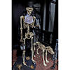 36 1/2" x 62 1/4" Animated Skeleton & Dog Halloween Decorations Image 2