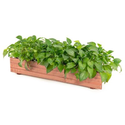 36 Inch Wooden Flower Planter Box Garden Yard Decorative Window Box Rectangular Image 1