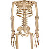 37" Alien Skeleton Decoration Image 1