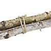 38.5" Birch Wood Branch Bundle Christmas Display Image 2