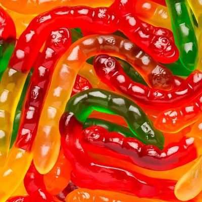 39 Pcs Wild Fruit Gummi Worms 4" Assorted Colors (1 lb) Image 1