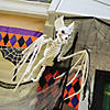 39" x 4" Bat Skeleton Halloween Decoration Image 1