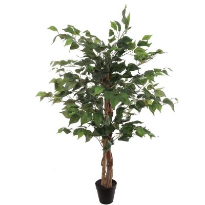 3ft Green Ficus Tree in Black Pot Image 1