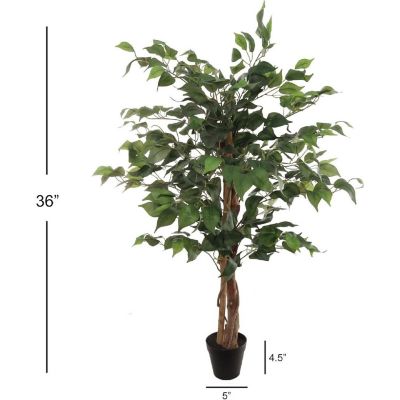 3ft Green Ficus Tree in Black Pot Image 1