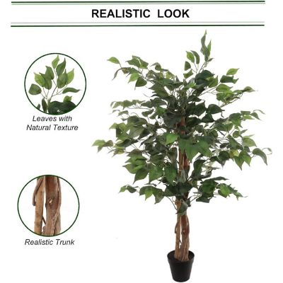 3ft Green Ficus Tree in Black Pot Image 2