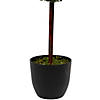 4' Artificial Two-Tone Boxwood Triple Ball Topiary Tree with Round Pot  Unlit Image 4