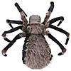 4 Ft. 5" Deluxe Light-Up Furry Spider Hanging Halloween Decoration Image 1