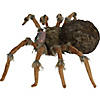 4 Ft. 5" Deluxe Light-Up Furry Wolf Spider Halloween Decoration Image 1