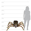 4 Ft. 5" Deluxe Light-Up Furry Wolf Spider Halloween Decoration Image 3