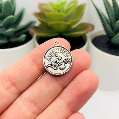 4 Pcs Silver Aquarius Zodiac Charms Image 1