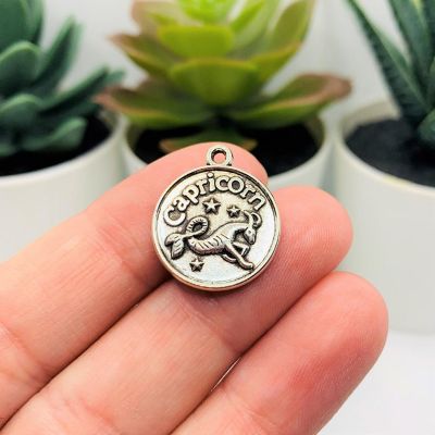 4 Pcs Silver Capricorn Zodiac Coins Image 1