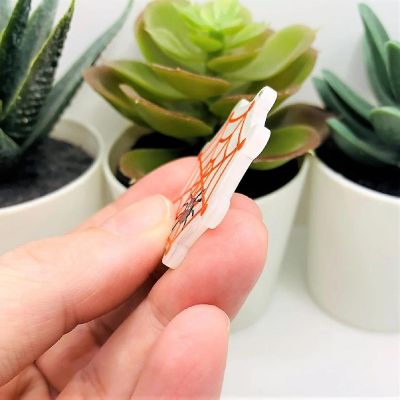 4 Pcs Spider Web Halloween Charms Image 3