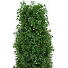 4' Pre-Lit Artificial Boxwood Cone Topiary Tree with Pot  Clear Lights Image 2