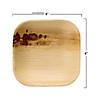 4" Square Palm Leaf Eco Friendly Disposable Pastry Plates (75 Plates) Image 1