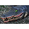 4' Swamp Alligator Halloween Decoration Image 1
