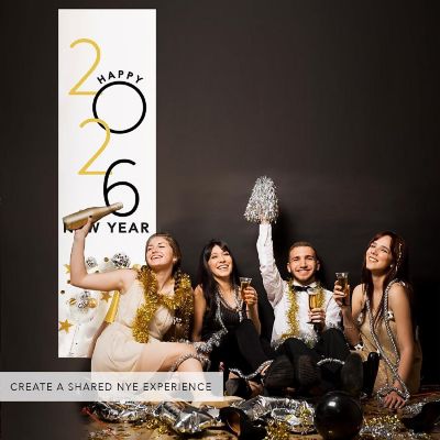 47x13 Vertical Disco Balls Banner Image 1