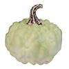 5.5" Green Textured Pumpkin Fall Harvest Table Top Decoration Image 1