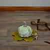 5.5" Green Textured Pumpkin Fall Harvest Table Top Decoration Image 2