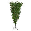 5.5' Pre-Lit Medium Spruce Upside Down Artificial Christmas Tree - Clear Lights Image 1
