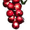 5-Count Red Grape Cluster Outdoor Patio String Light Set - 6ft Green Wire Image 3