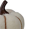 5" Cream and Brown Fall Harvest Tabletop Pumpkin Image 3