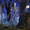 5 Ft. Life-Size Cyclops Skeleton Halloween Decoration Image 1