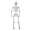 5 Ft. Light-Up Translucent Plastic Skeleton Decoration Image 1