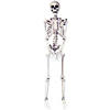 5 Ft. Skeleton Pose &amp; Hold Plastic Halloween Decoration Image 1