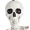 5 Ft. Skeleton Pose & Hold Plastic Halloween Decoration Image 2