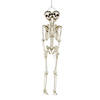 5 Ft. Two-Headed Life-Size Posable Skeleton Halloween Decoration Image 1