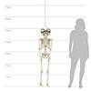 5 Ft. Two-Headed Life-Size Posable Skeleton Halloween Decoration Image 2
