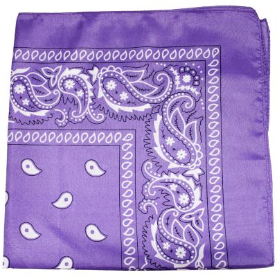 5 Pack Mechaly Dog Bandana Neck Scarf Paisley Polyester Bandanas - Any Pets (Purple) Image 1