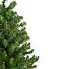 5' Pre-Lit Medium Canadian Pine Artificial Christmas Tree - Multicolor Lights Image 3
