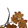5' x 8" Maple Leaves and Berries Artificial Fall Harvest Garland  Unlit Image 1