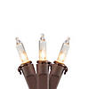 50-Count Clear Mini Christmas Light Set - 10' Brown Wire Image 1