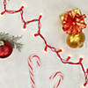 50-Count Clear Mini Christmas Light Set  10ft Red Wire Image 1