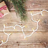 50 Count Warm White LED G12 Berry Mini Christmas Lights  15.9 ft White Wire Image 1